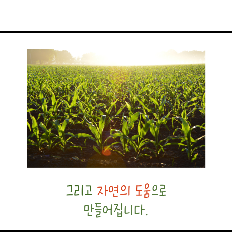 32dcb681bf0e26e83b5e6d758de1b584_1717125407_9499.png