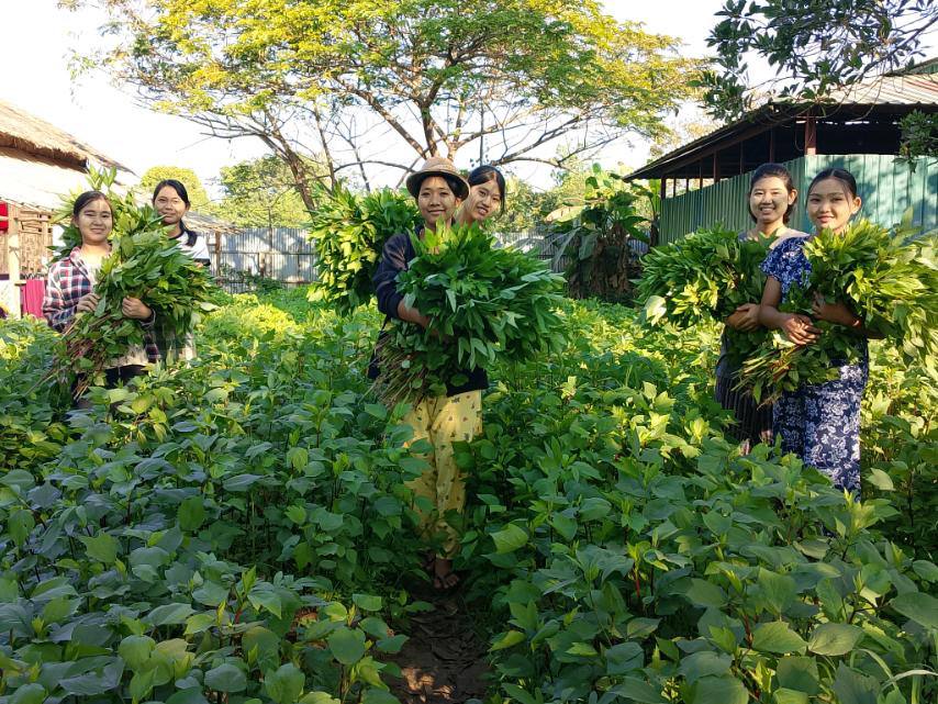 770f8192a3272709f97e43af707fc522_1772550725_721.jpg 770f8192a3272709f97e43af707fc522_1772550725_721.jpg